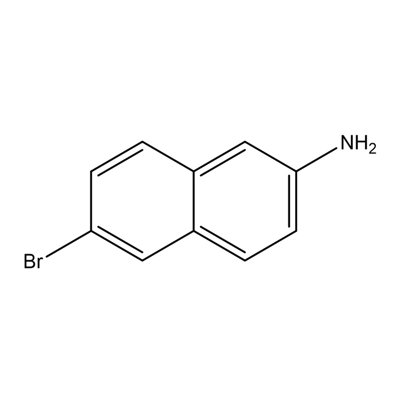 6-brominaftaleeni-2-amiini