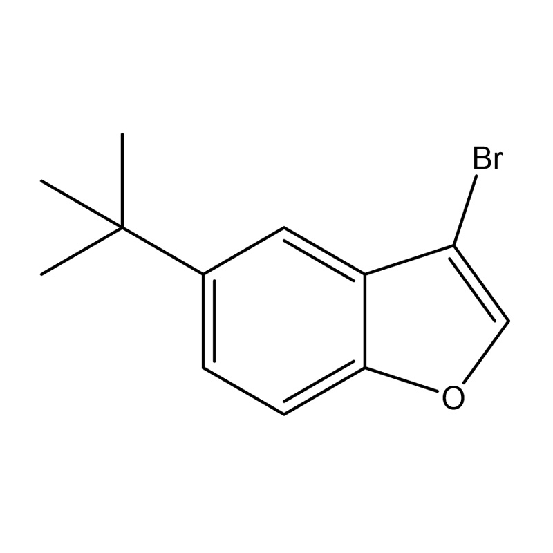 3-bromi-5-tert-butyylibentsofuraani
